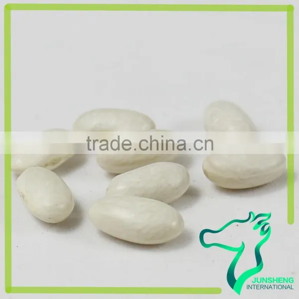 Wholesale Chinese Supply All Types Of White Kidney Beans photo-4