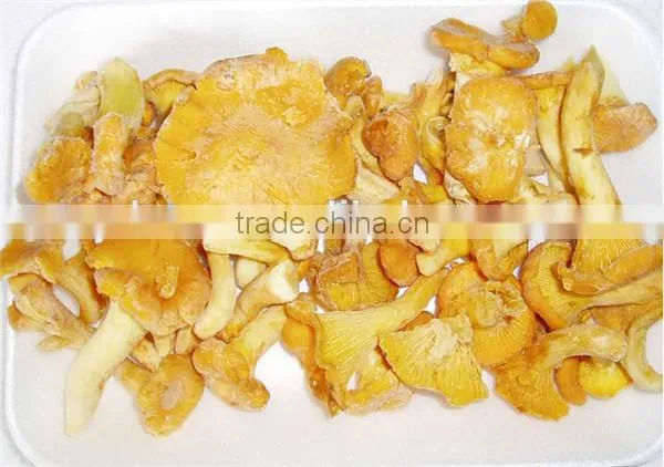 Whole Fresh Cantharellus Cibarius Professional Supplier photo-2