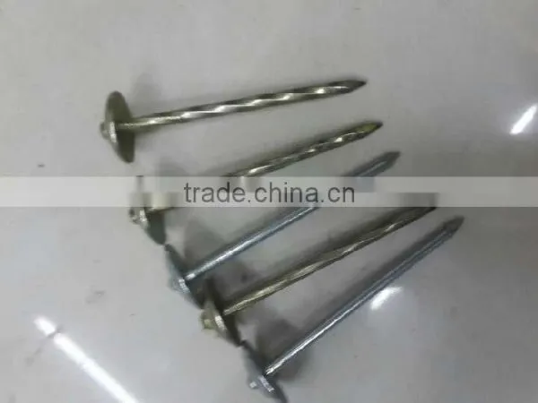 Roofing Nail photo-4