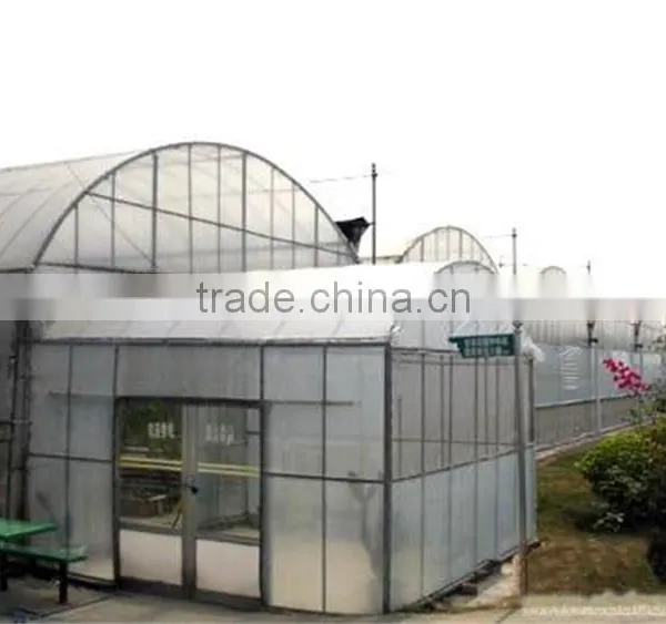 Tunnel Agriculture Greenhouse for Vegetable photo-3