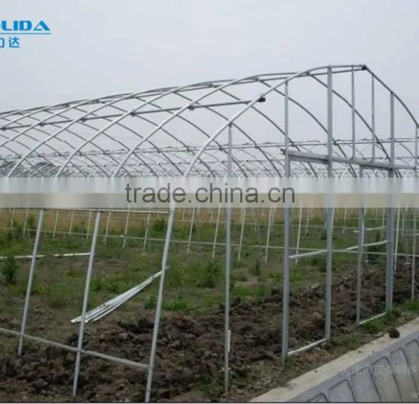 Cheap Tunnel Green House Baolida Vegetable Tunnel Green House for Tomato photo-2