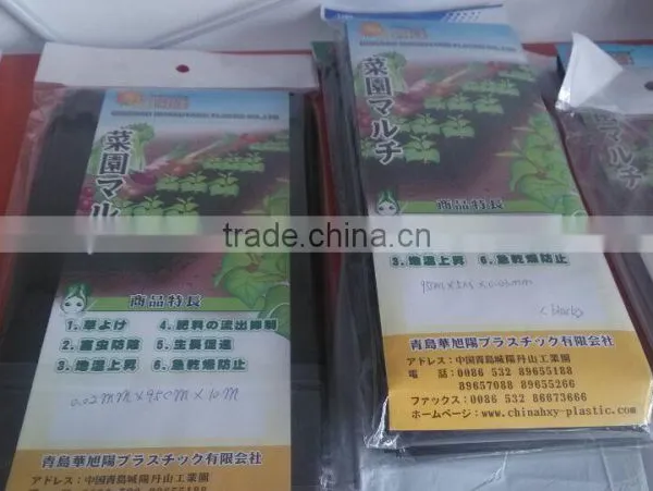 Agricultural Black Small Sheet Film for Popular photo-2