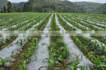 PE Plastic Film for Mulch/greenhouse/construction/packaging photo-2