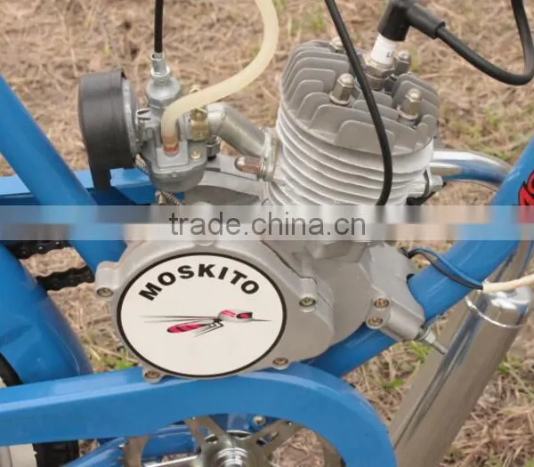Cool Fat Bike, Ratro Fat Tire Bicycle For Wholesale, Europe Design Gasoline Motorbike In China photo-5