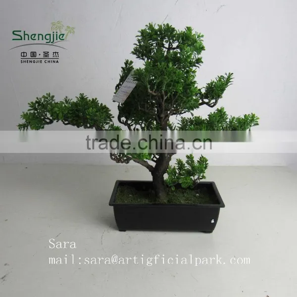 Indoor Bonsai,potted Evergreen Foliage, Decorative Landscape photo-2