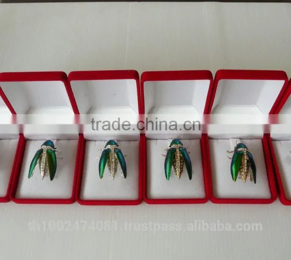 Beetle Wings 2014 Hot Sale Beetle Wings Brooches photo-5