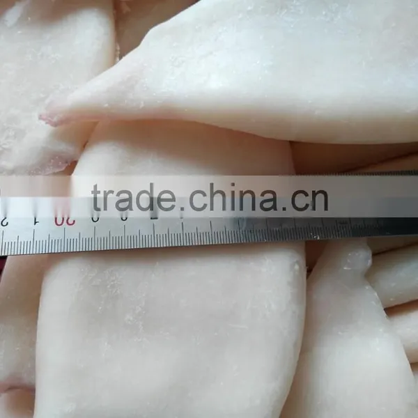 Frozen Fresh New Produced U5 Squid Tube photo-5