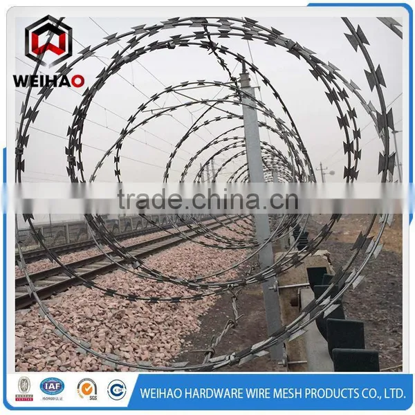 BTO22 Welded Typed Razor Barbed Wire Mesh photo-6