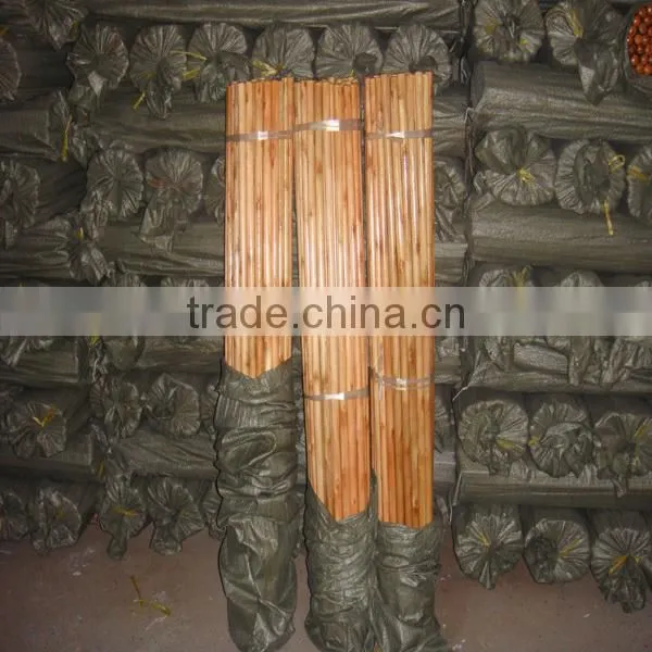 1200mm x 22mm Varnished Wooden Mop Handle photo-3