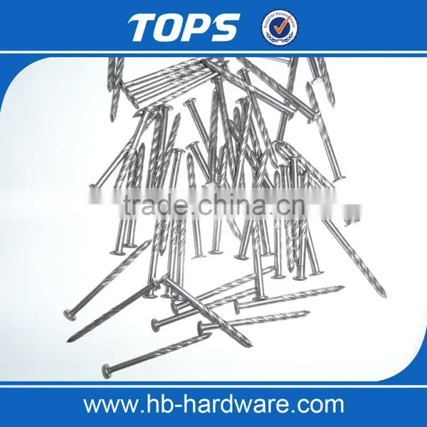 Polish Common Nail Iron Nail Factory photo-3