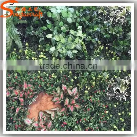 Latest Design Plastic Vertical Garden Green Wall System photo-5