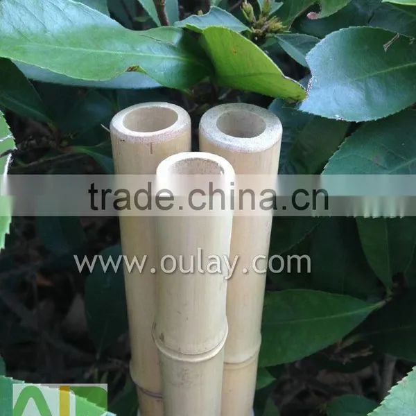 Decoration Short Tonkin Bamboo Cane/pole photo-4