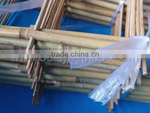 Hand-assembled Bamboo Trellis With Small Package photo-4