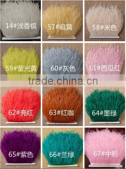 Wholesale Manufacturers Selling Mixed Color Decotation Ostrich Feather photo-5