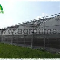 Auto Window Plastic Greenhouse
