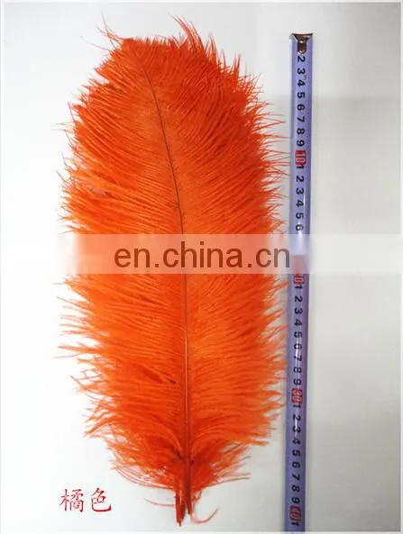 Ostrich Feather photo-5