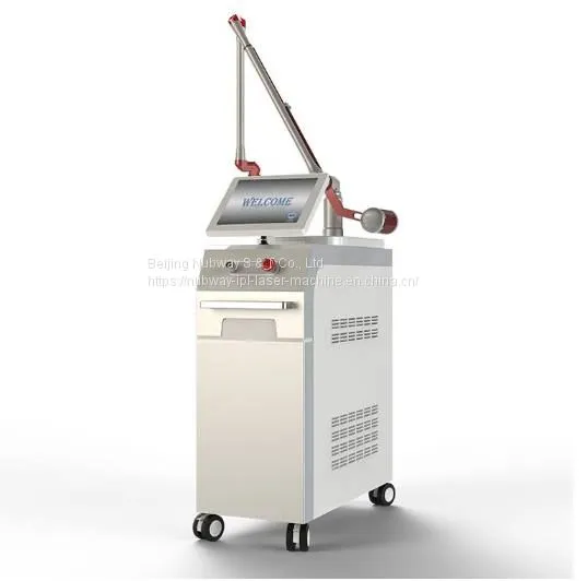 Price Laser Tattoo Removal Laser Machine to Remove Freckles Gentle Yag Laser photo-2