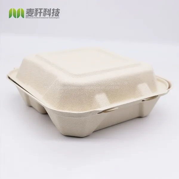 Disposable Biodegradable 8*8 3C Take Away Sugarcane Container photo-2