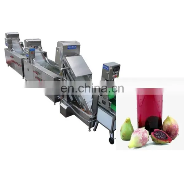 Commercial Roxburgh Rose Juice Concentrate Processing Line photo-4