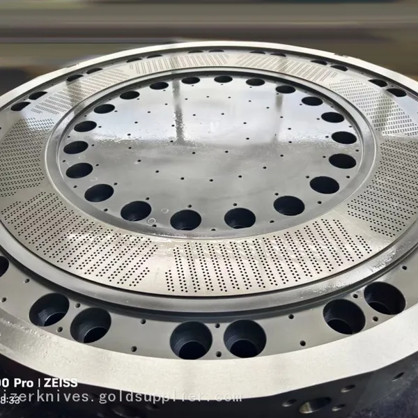 Intensive Heated Channel Die Plate for Producing PP PE Particles photo-5