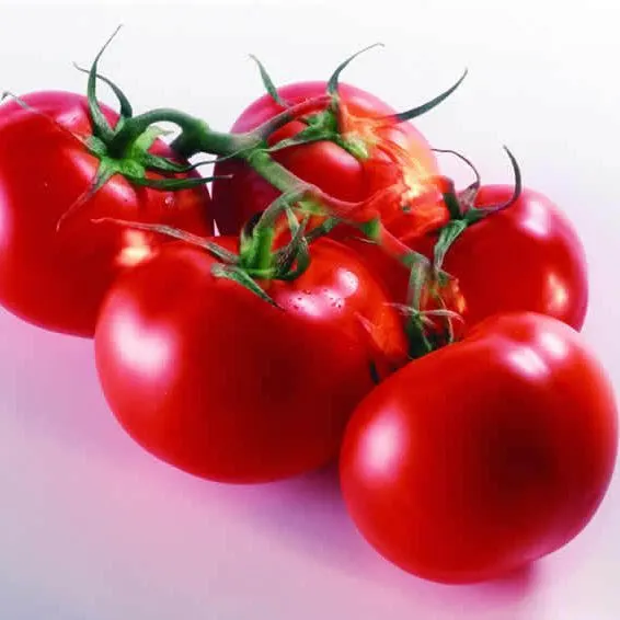 Automatic Complete Full Line Tomato Paste Sauce Ketchup Factory Plant Processing Machine photo-2