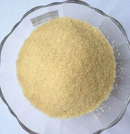 China Factory Edible Gelatin Production Plant Gelatin Making Machine photo-5