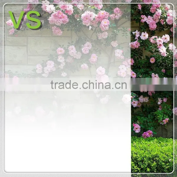 Decorative Eva Film for Laminated Glass Heating Film,gradation Window Fim photo-5