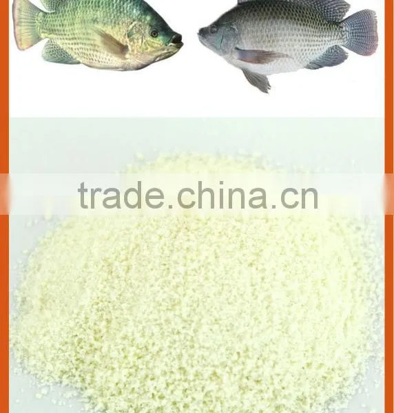 fish gelatin