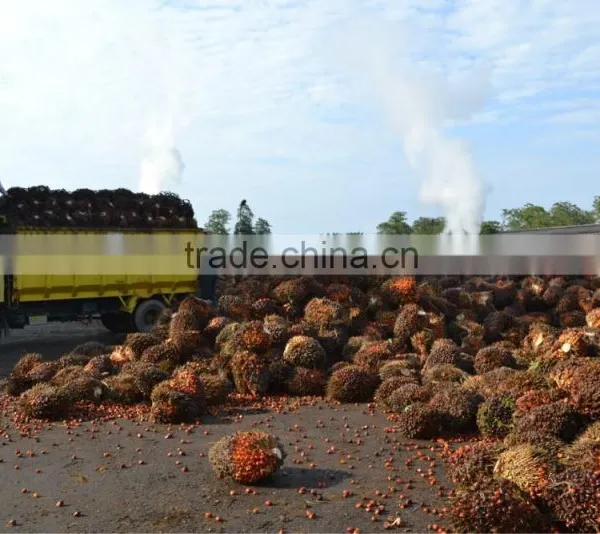 Professional Palm Oil Fractionation Line photo-3