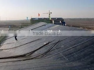 2mm/3mm/4mm High Quality SBS Modified Bitumen Waterproof Membrane For Building Roofing/construction photo-5