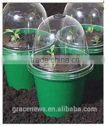 Solar Bell Cloches