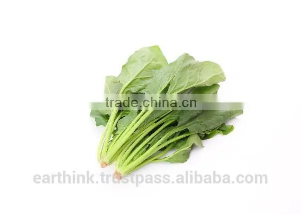 Japanese Jas Organic Baby Food Series Spinach Puree With Cream Sauce 100g (from 5 Months) photo-4