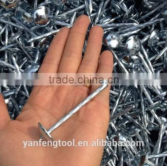 Hot Sale Umbrella Head Roofing Nails From Direct Factory photo-2