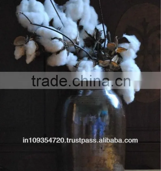Best Quality India Raw Cotton for Sale