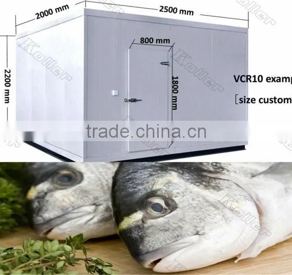 Walk in Koller Freezer Cold Room for Fishery photo-2