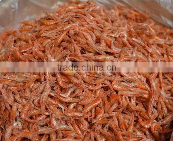 Sun Dried Crickets