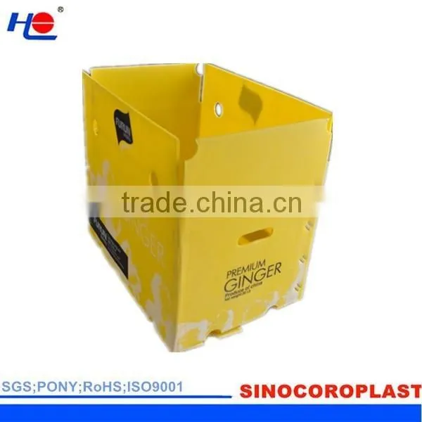 PP Corrugated Plastic Fluted Ginger Box photo-3