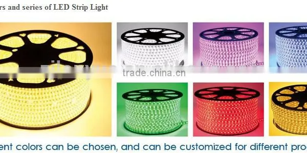 5050 LED Strip Light IP65 220V Easy Install Flexible Strip Light photo-6