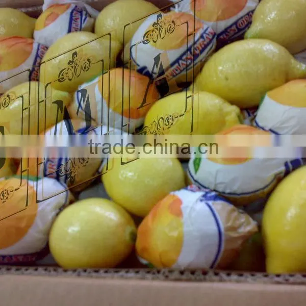 Lemon photo-5