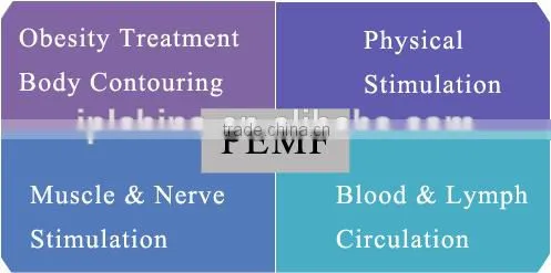 Pulsed Electro Magnetic Field PEMF Fat Loss Slimming Beauty Side Effects - PEMF Shape II photo-6