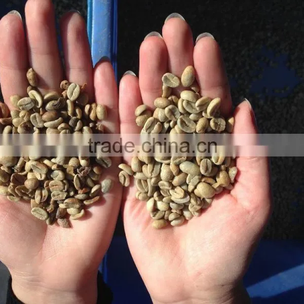 2016 New Product Hight Resolution CCD Camera Belt Type Coffee Bean Sorting Machine Made in China photo-4