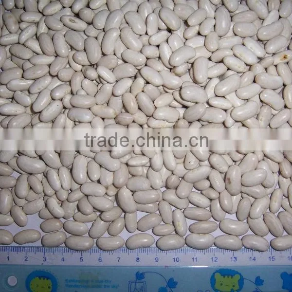 Best Factory Price of White Kidney Beans photo-6