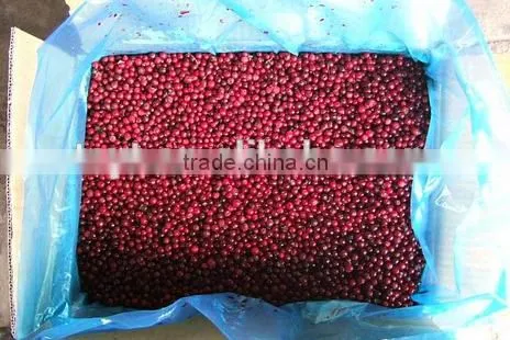 Frozen Lingonberry Best Selling Products photo-2
