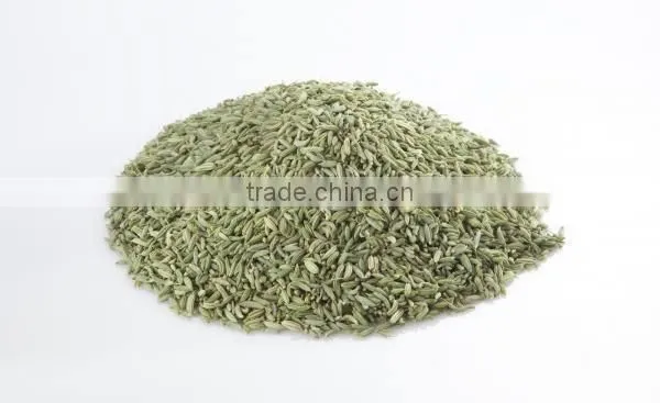 Fennel Seeds