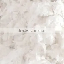 Cotton Waste