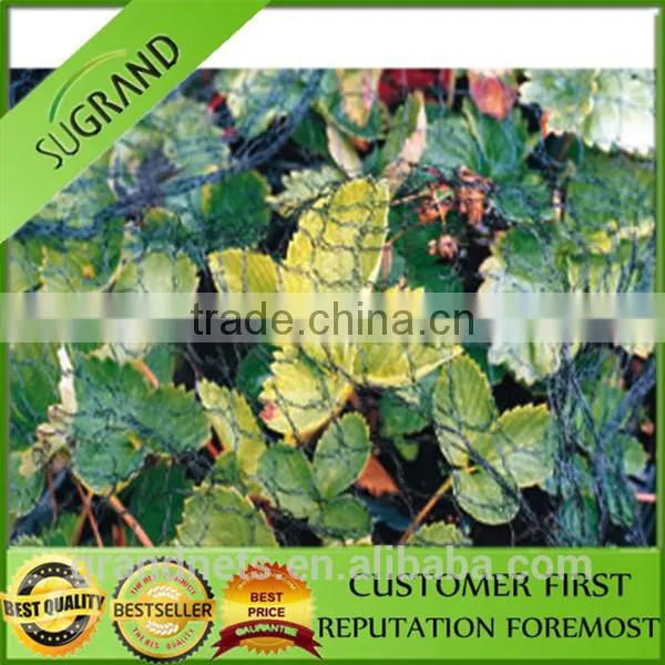 100% New HDPE Nylon Bird Nets for Catch Birds Anti Bird Netting for Sale photo-2