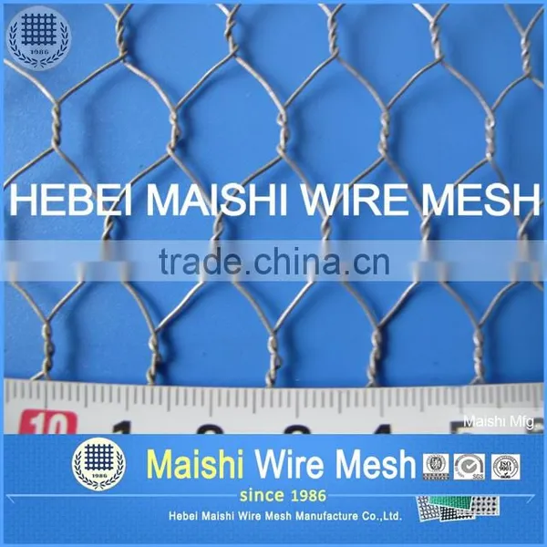 Qualified Hexagonal Wire Mesh photo-2