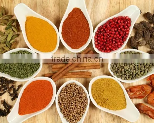 FYF Series Fruit and Vegetable Crusher Machine for Restaurants and Canteen photo-3