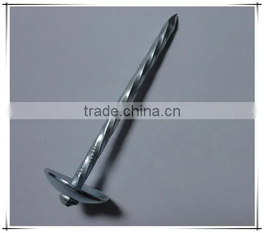 2 Inch Umbrella Head Roofing Nail Twisted Shank Roofing Nail With Factory Price photo-4