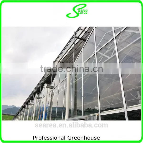 High Quality Giant Greenhouse,flower,plant House/large Inflatable Membrane Structures photo-4
